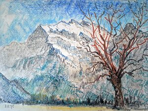 Grünenfelder August (1906-1980)